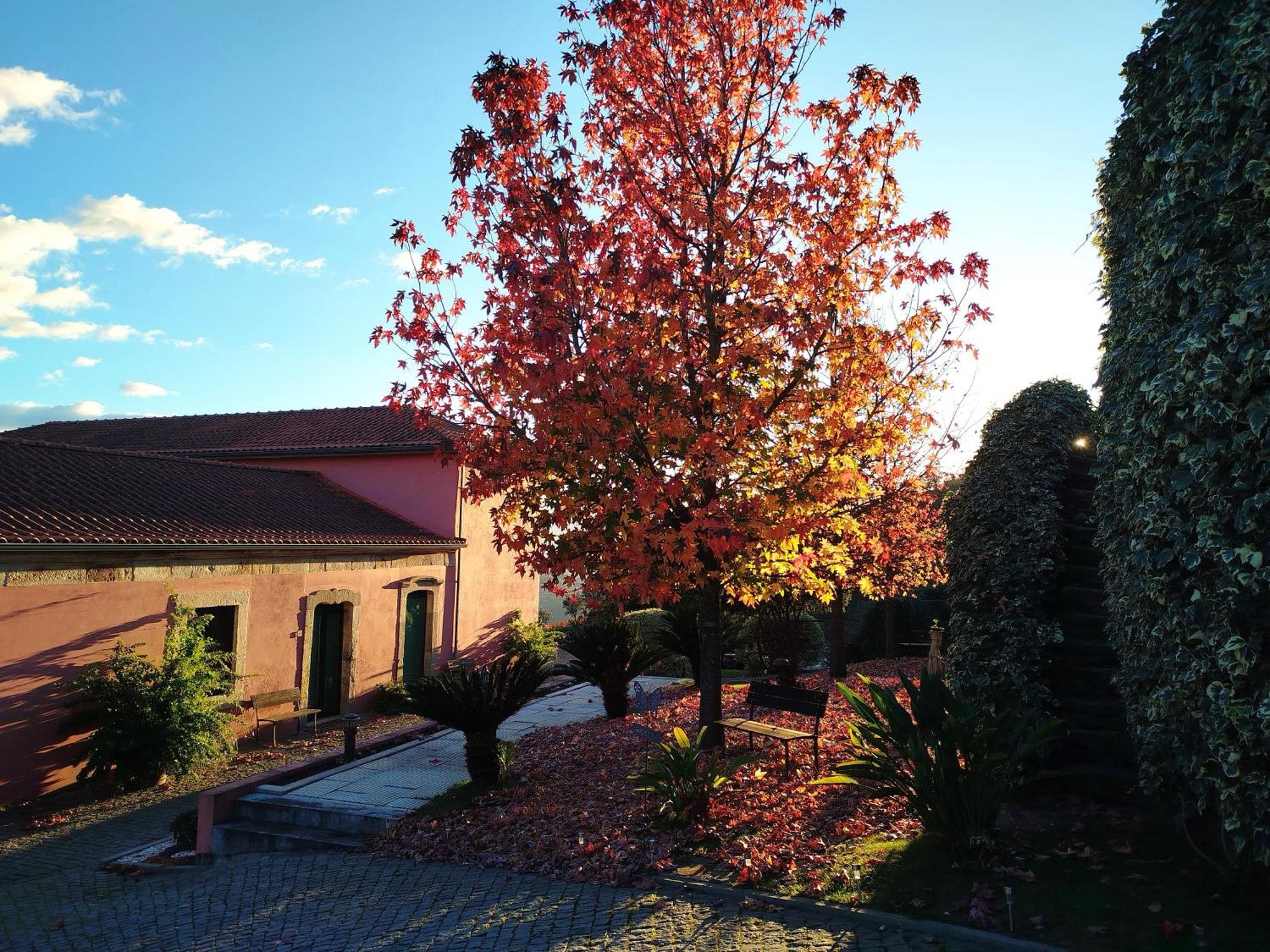 Quinta De Baixo Villa Vila Marim Exterior photo